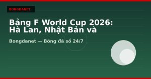 Bảng F World Cup 2026: Hà Lan, Nhật Bản và knock-out